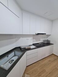 Dover Parkview (D5), Condominium #592993411